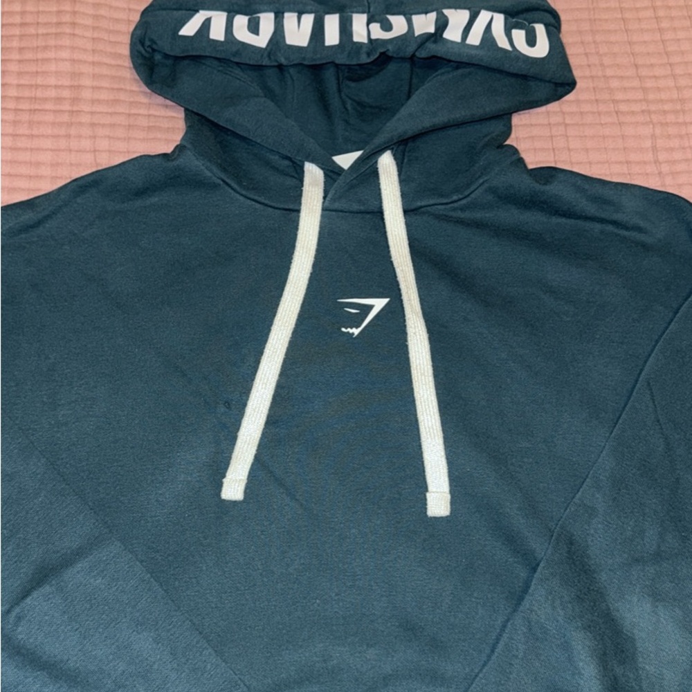 Gymshark Fraction Hoodie